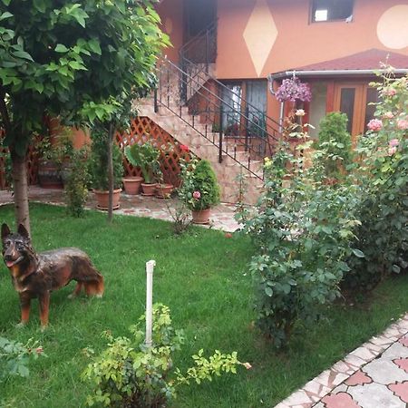 Olimpia Apartments Alba Iulia Luaran gambar