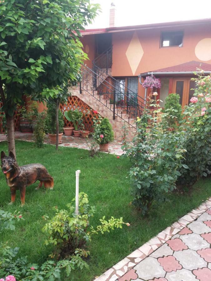 Olimpia Apartments Alba Iulia Luaran gambar
