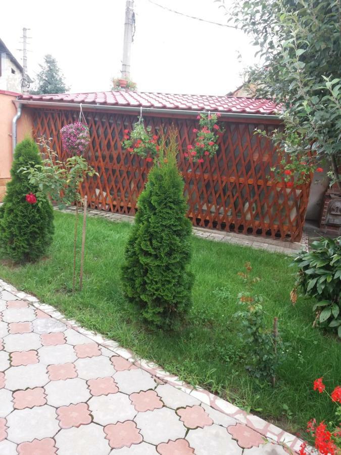 Olimpia Apartments Alba Iulia Luaran gambar