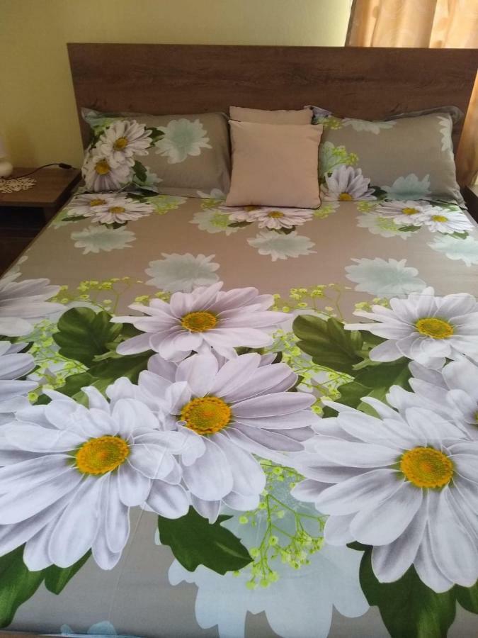 Olimpia Apartments Alba Iulia Luaran gambar